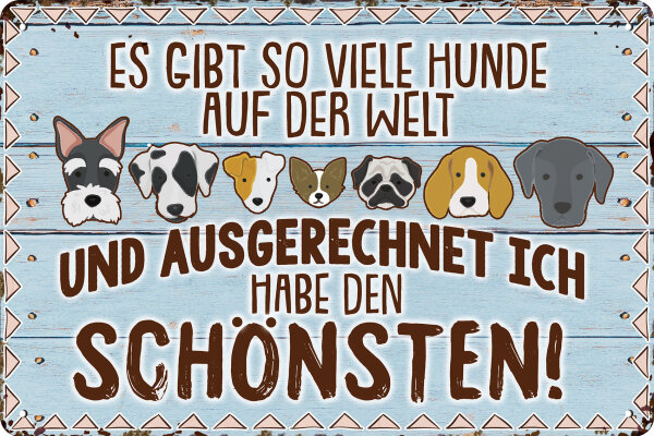 Blechschild für Hunde Fans - Es gibt so viele Hunde auf der Welt und ausgerechnet ich habe den Schönsten (wetterfest)