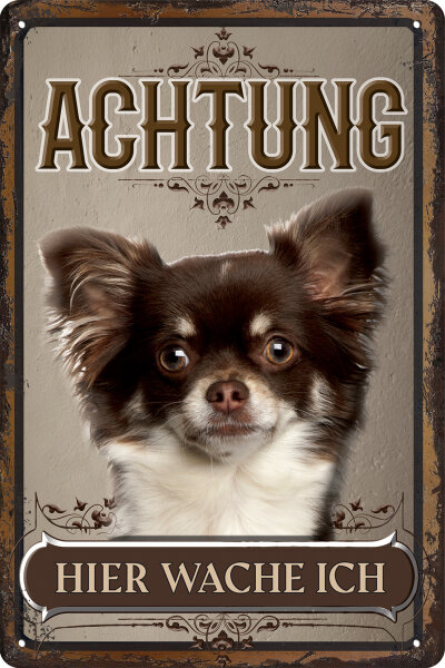 Blechschild für Katzen Fans: Achtung hier wache ich – Chihuahua (wetterfest)