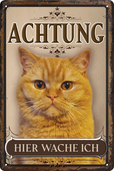 Blechschild für Katzen Fans: Achtung hier wache ich – Kurzhaar 4 (wetterfest)