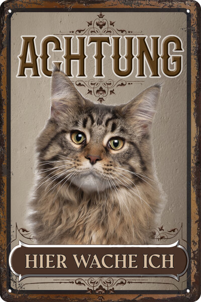 Blechschild für Katzen Fans: Achtung hier wache ich – Maine Coon (wetterfest)