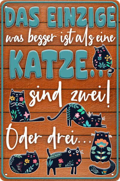 Blechschild für Katzen Fans, lustiger Spruch - Das einzige was besser ist als eine Katze (wetterfest)