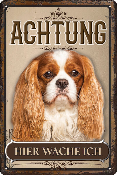 Blechschild für Hunde Fans: Achtung hier wache ich – Cavalier King James Spaniel (wetterfest)