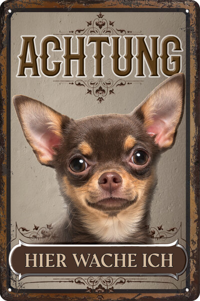 Blechschild für Hunde Fans: Achtung hier wache ich – Chihuahua Kurzhaar (wetterfest)