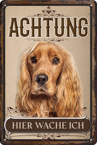 Blechschild für Hunde Fans: Achtung hier wache ich – Cocker Spaniel (wetterfest)