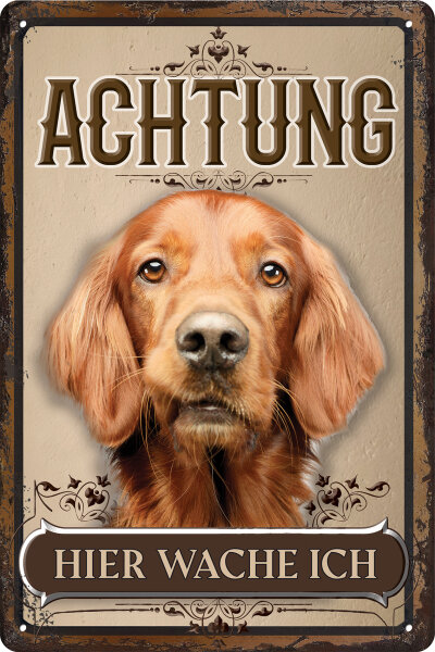 Blechschild für Hunde Fans: Achtung hier wache ich – Irischer Setter (wetterfest)