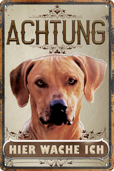 Blechschild für Hunde Fans: Achtung hier wache ich – Rhodesian Ridgeback (wetterfest)