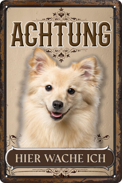 Blechschild für Hunde Fans: Achtung hier wache ich – Spitz Golden (wetterfest)