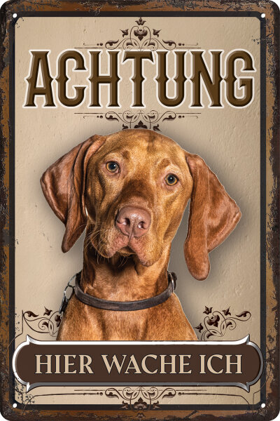 Blechschild für Hunde Fans: Achtung hier wache ich – Vizsla (wetterfest)