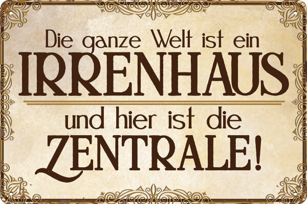 Blechschild lustiger Spruch  Die ganze Welt ist ein Irrenhaus, 14 x 20 cm