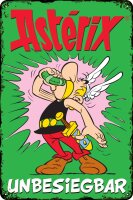 Blechschild für ASTERIX, OBELIX und IDEFIX Fans,...