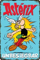 Blechschild für ASTERIX, OBELIX und IDEFIX Fans,...