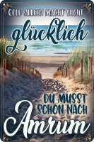 Blechschild, lustiger Spruch, Geld allein macht nicht...