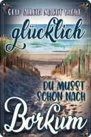 Blechschild, lustiger Spruch, Geld allein macht nicht...
