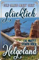 Blechschild, lustiger Spruch, Geld allein macht nicht...