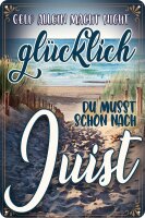 Blechschild, lustiger Spruch, Geld allein macht nicht...