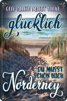 Blechschild, lustiger Spruch, Geld allein macht nicht...
