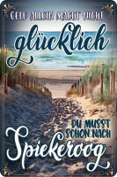 Blechschild, lustiger Spruch, Geld allein macht nicht...