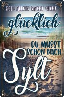 Blechschild, lustiger Spruch, Geld allein macht nicht...