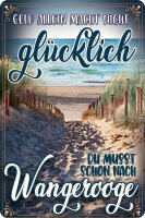 Blechschild, lustiger Spruch, Geld allein macht nicht...